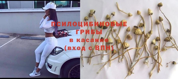 крисы Богданович