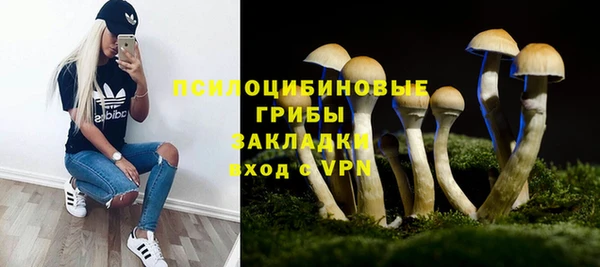 а пвп мука Белокуриха